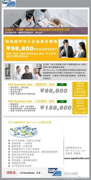 深圳SAP Business One軟件綜合服務(wù)指南 報(bào)價(jià)、實(shí)施、培訓(xùn)與外包解決方案